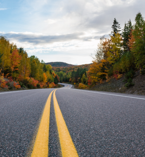 a picture of a road with trees on either side