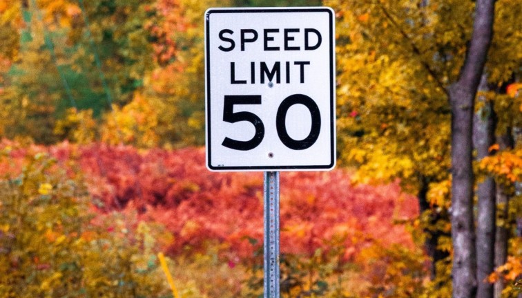White Speed limit sign with black text reading "Speed limit 50" in front of a fall forest 