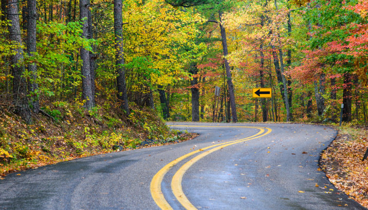 A blacktop road winding through a fall forest 