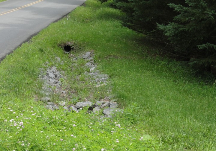 Green grass leading to a culvert, showcasing the right way to ditch 